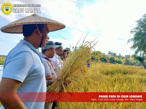 Panen Padi